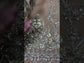 FAIZA SAQLAIN NET UNSTITCHED EMB GHARARA SUIT